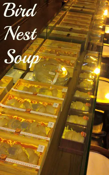 Birds Nest Soup