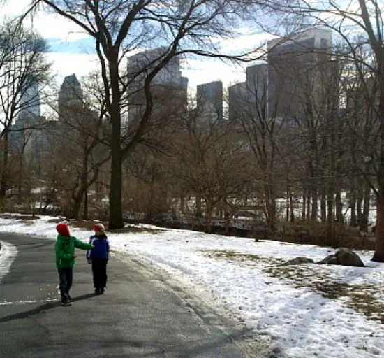 Getting around Central park on all the snow cleared paths