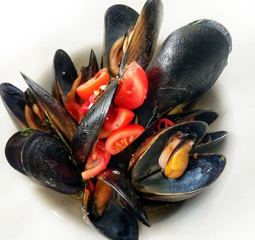 best seafood in Port Douglas mussels at Sassi