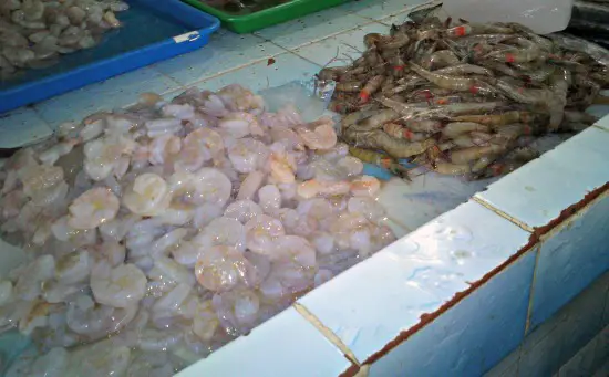 Prawns close up at Antigua Market