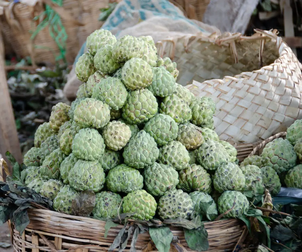 Sri Lankan custard apple