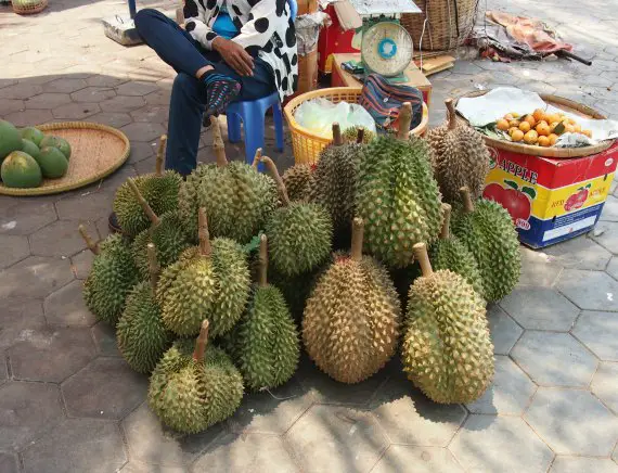 Durian, Kampot Cambodia