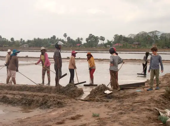 Making salt Kampot Cambodia