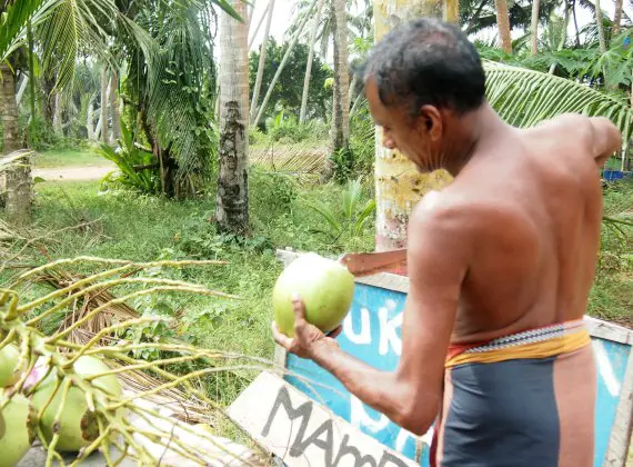 Sri Lankan fruits. Roadside fruit and coconut stalls are a great place to stop and buy.