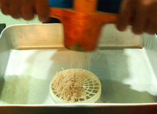  Idyappam string hopper making in Sri Lanka