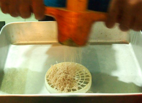 Idyappam string hopper making in Sri Lanka