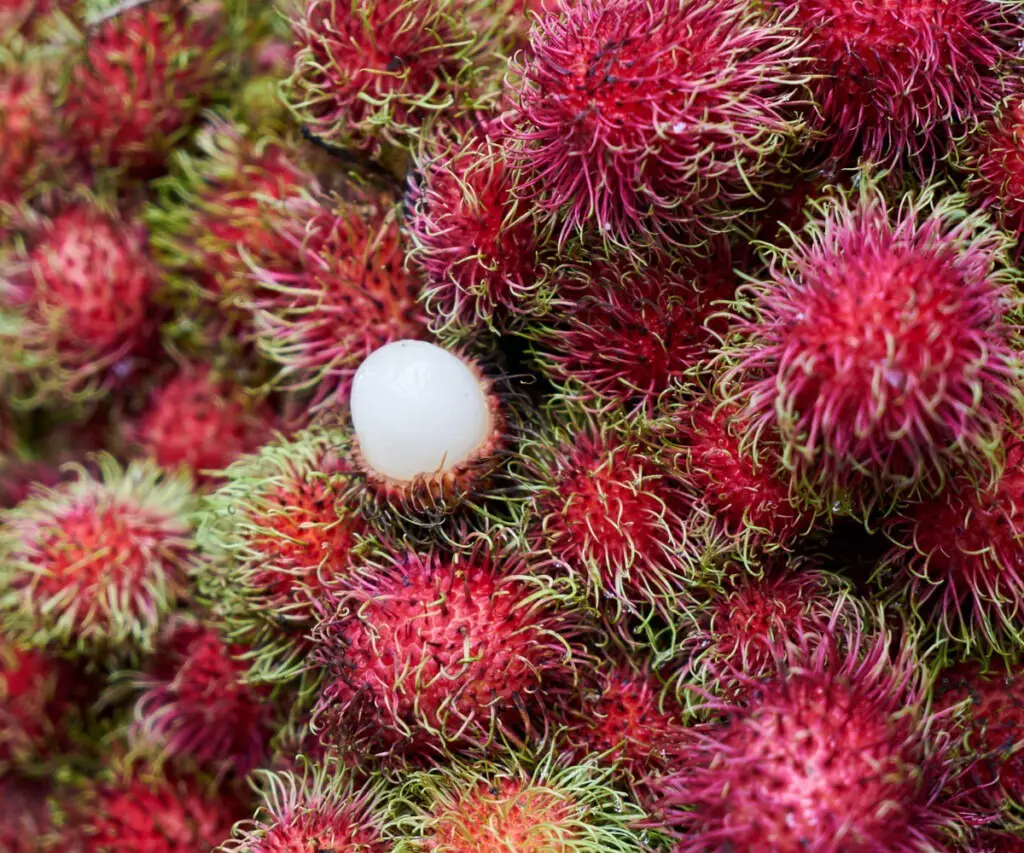 Sri Lankan fruit rambuttan