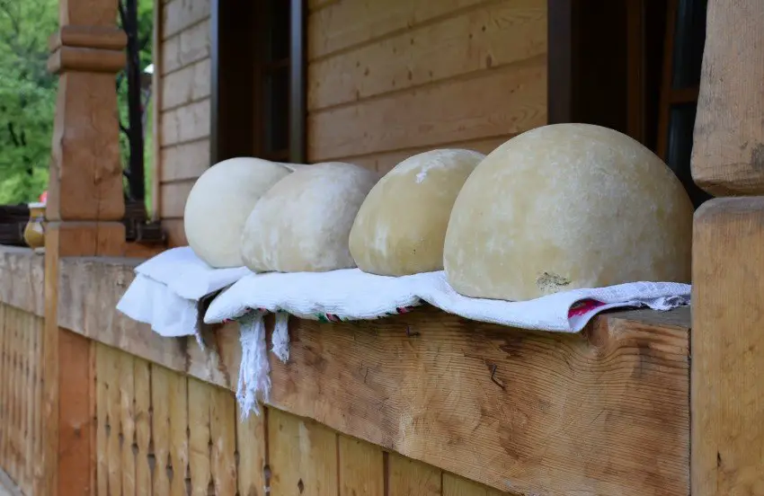 Romanian food sheep's milk cheese