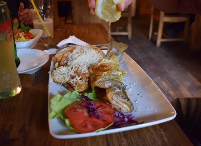 Romanian food trout