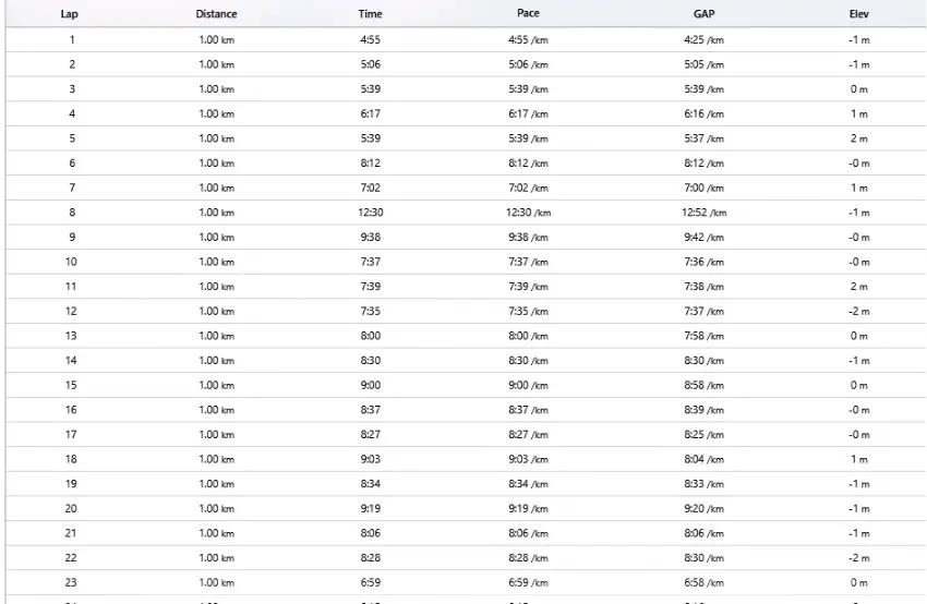 Run chart Ironman malaysia 2018