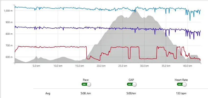 Brasov International marathon elevation.