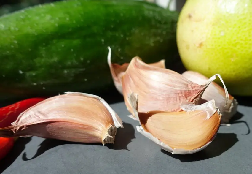 Garlic Cloves for Tzatziki Sauce