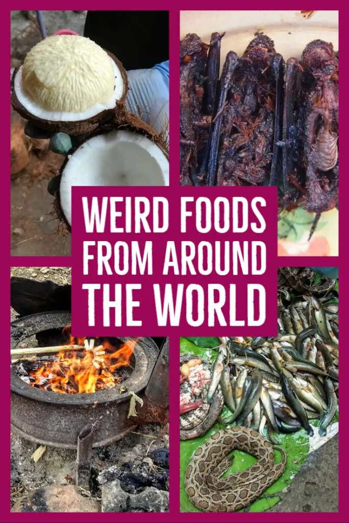 Weird Foods From Around The World