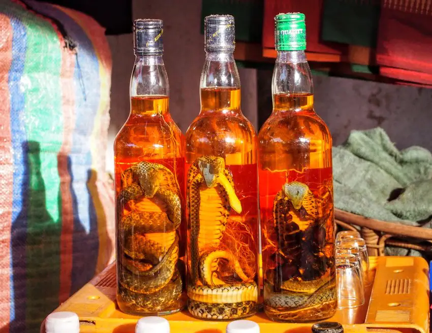 Weird Foods around the world snake wine