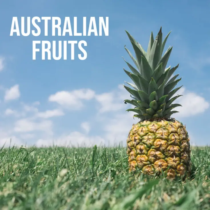 Australian Fruits - World Travel Chef