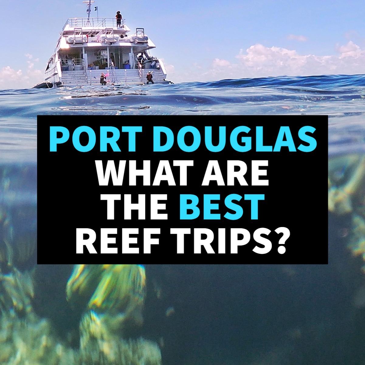 What are the best reef trips from Port Douglas