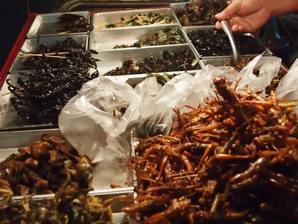 Bangkok night market bugs and scorpions on a street food stall