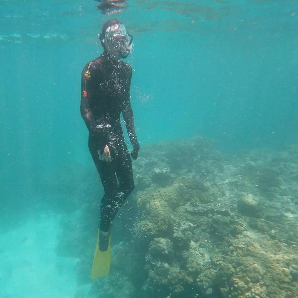 Swimmer wearing Stinger Suit Australia