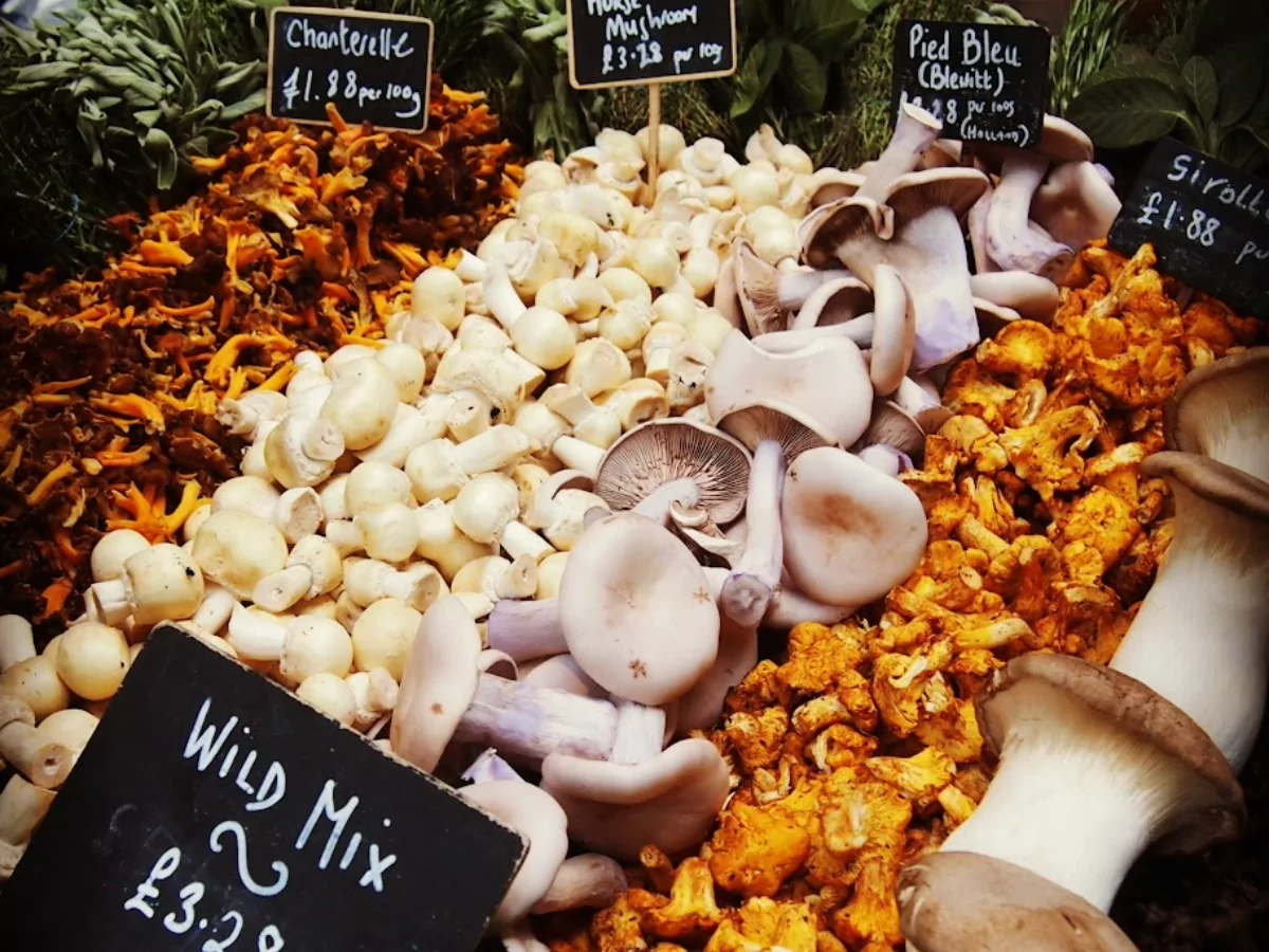 Borough Market mushroom stall