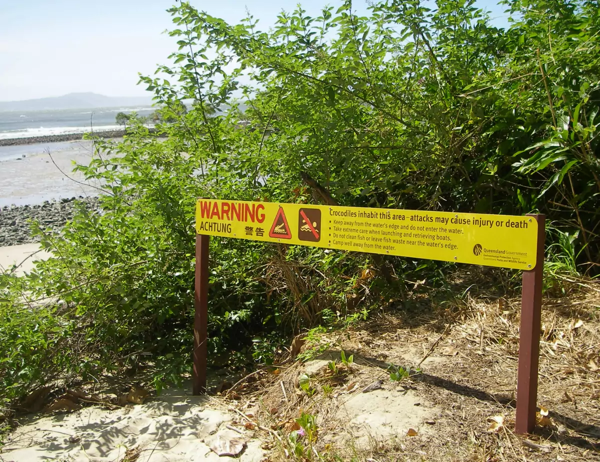 Crocodiles Port Douglas warning